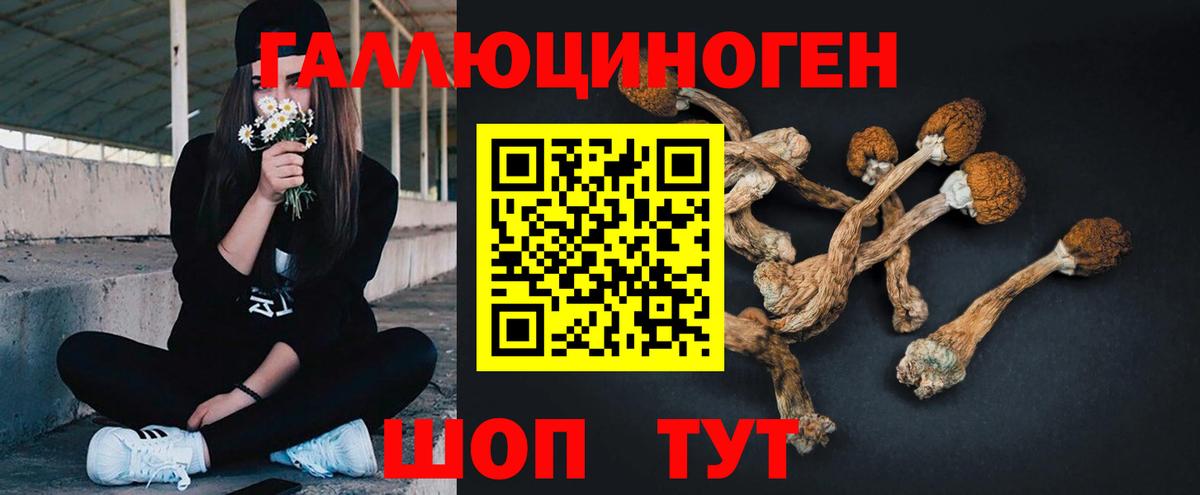 Галлюциногенные грибы Cubensis Фролово