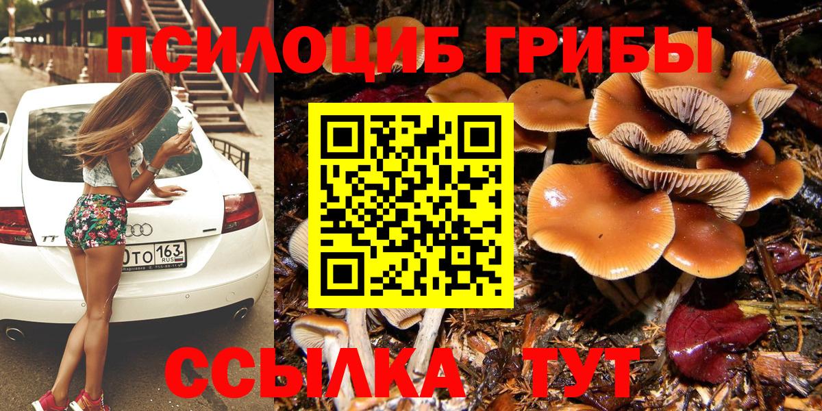 Псилоцибиновые грибы Psilocybine cubensis  цена   Псилоцибиновые грибы мухоморы  Фролово  Вход с VPN 